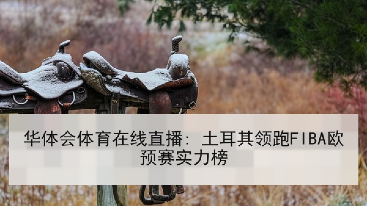 华体会体育在线直播: 土耳其领跑FIBA欧预赛实力榜