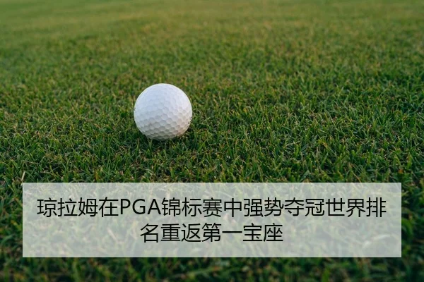 qiong-la-mu-zai-jin-biao-sai-zhong-qiang-shi-duo-guan-shi-jie-pai-ming-chong-fan-di-yi-bao-zuo-2-491.jpg