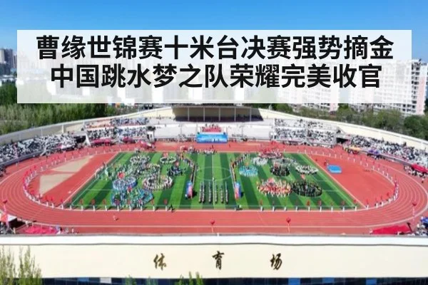 曹缘世锦赛十米台决赛强势摘金 中国跳水梦之队荣耀完美收官